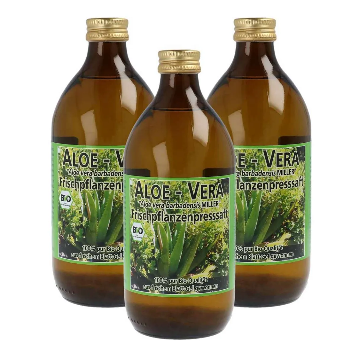 Aloe Vera Saft kaufen im Onlineshop - reines Gel aus Frischblatt
