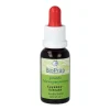 BioPräp Cayenne Extrakt Tinktur - Cayennepfeffer Tropfen, 20 ml