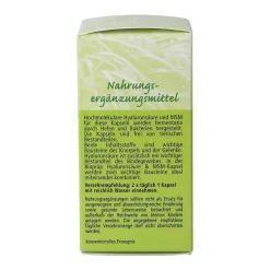 BioPräp Hyaluronsäure Kapseln 300mg - mit MSM - kaufen