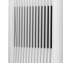 Blueair Dust Magnet 5210i - Stilvoller Staub Luftreiniger