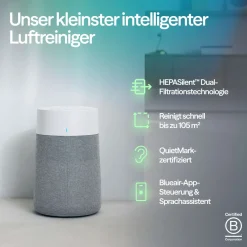 Blueair Luftreiniger Mini Max