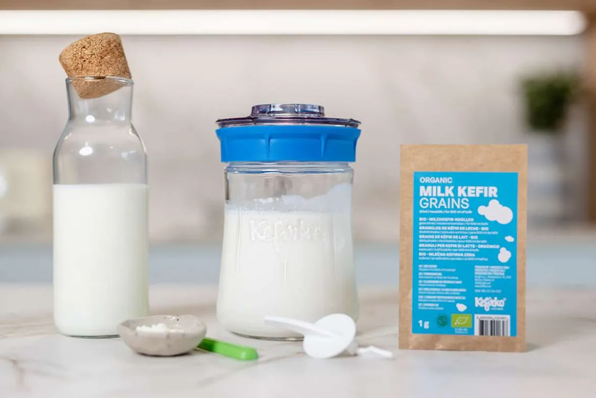 Dehydrierte Kefirknöllchen als Starter-Kultur für Milchkefir