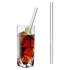 Glas Trinkhalm im 6er Set - in verschiedenen Längen kaufen