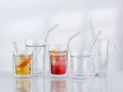 Glas Trinkhalm im 6er Set - in verschiedenen Längen kaufen