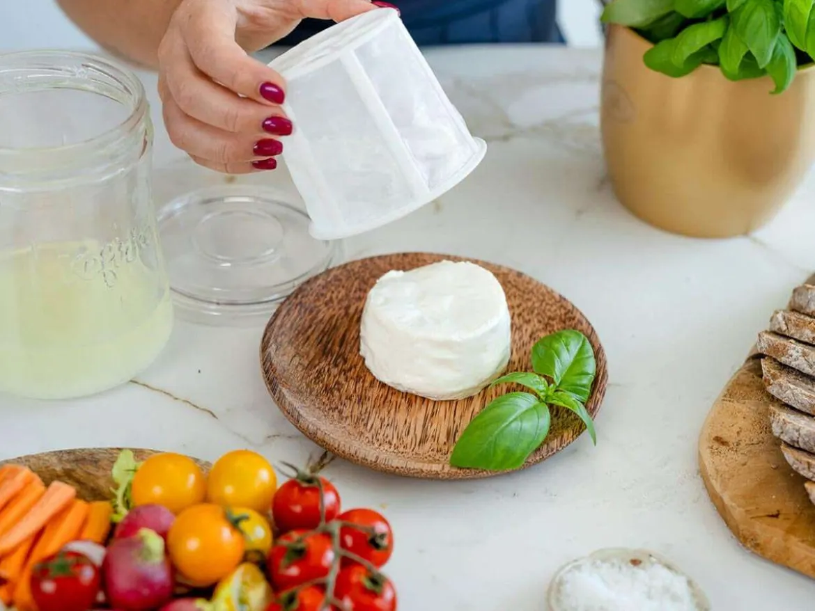 Kefirko Cheese Maker Käsebereiter grün: Käse selber machen