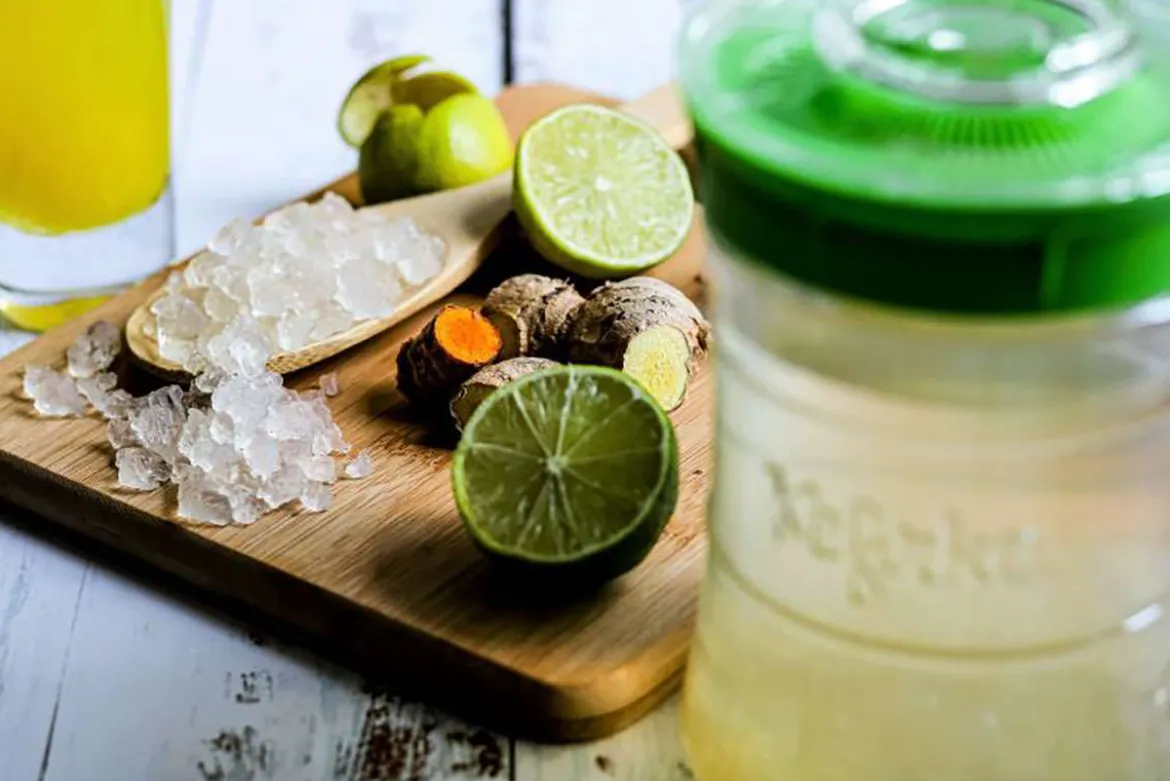 Kefirko Knollen für Wasserkefir als Starter-Kulturen