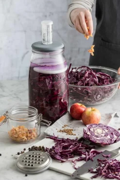 Kilner Fermentierglas 3l: Perfekte Fermentation mit Gärventil