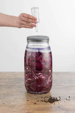 Kilner Fermentierglas 3l: Perfekte Fermentation mit Gärventil