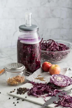 Kilner Fermentierglas 3l: Perfekte Fermentation mit Gärventil