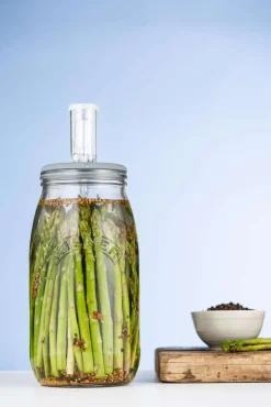 Kilner Fermentierglas 3l: Perfekte Fermentation mit Gärventil
