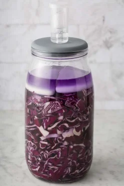 Kilner Fermentierglas 3l: Perfekte Fermentation mit Gärventil