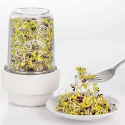 Kilner Sprossen-Set: Sprossenglas für Zucht und Lagerung