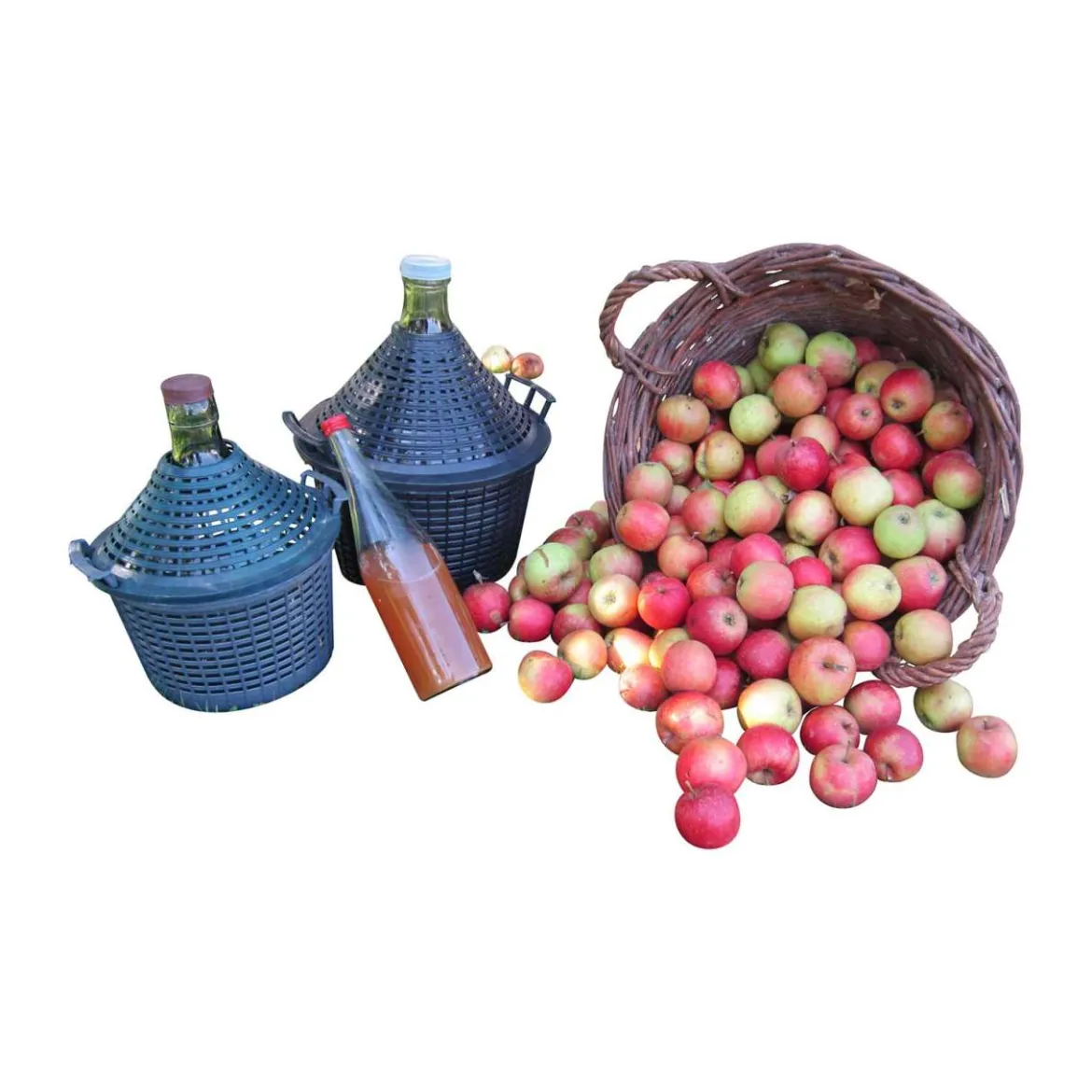 Korbflasche Glasballon von PureNature zum Entsaften