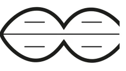 Lycona Decke duo Bettdecken aus natürlichen Materialien