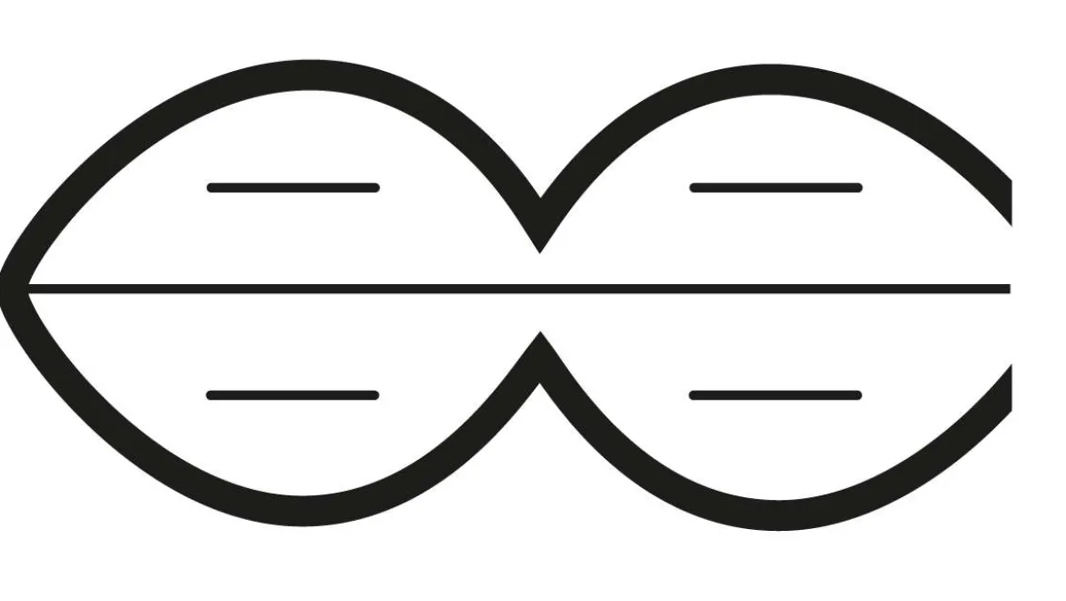 Lycona Decke duo Bettdecken aus natürlichen Materialien