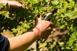 PureNature Asthma Armband für Kinder & Erwachsene