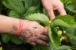 PureNature Asthma Armband für Kinder & Erwachsene