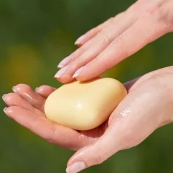 Rosenrot Bodybutter fest - für samtweiche Haut - kaufen